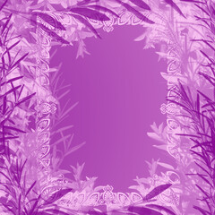 Kolorowe tło z ramką © Hanna