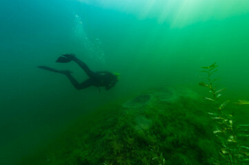 SCUBA diver exploring a murky inland lake with dappled light.