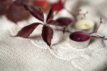 Obraz na płótnie Canvas burgundy leaves of wild grapes and cranberry aroma candle on a background of white knitted fabric.