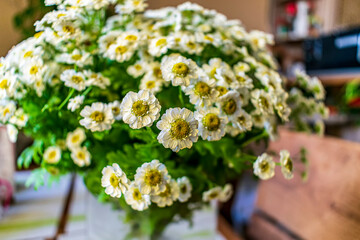 bouquet of flowers