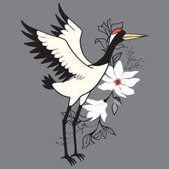 Japanese crane bird isolate on a white background.