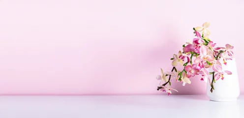 Fototapeten Beautiful flowers composition. Bouquet pink orchids in vase on table. Pink phalaenopsis orchid flower on pastel pink background. Concept Valentines Day, Happy Women's Day, March 8.  © prime1001