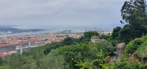 view