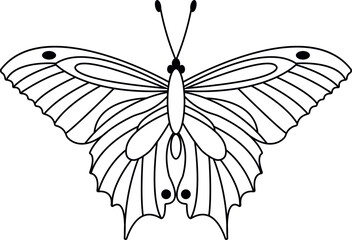Butterfly vector illustration. Line art on white. Icon