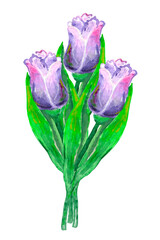 Watercolor illustration of a diagonal bouquet of purple and soft pink tulips 3 pieces