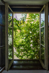Open old wooden window overlooking the summer garden, closeup