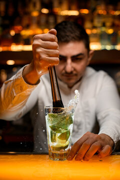 Bartender prepares cocktail mojito using the madler. Glass with mint and lime and ice