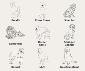 Dog Line Drawing, line art, one color, black and white, vector isolated illustration in black color on white background. Poodle, Chow Chow, Shar Pei, SharPei, Komondor, Border Collie, Kangal, Mutt.