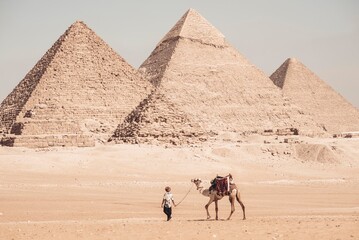 Fototapeta na wymiar Tourist with the camel at Great Pyramids of Giza 