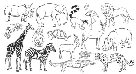 African animals outline icons set vector illustration. Line hand drawn zoo and wild tropical animals of of Africa, sketches of hippopotamus monkey lion zebra giraffe elephant crocodile rhino snake - obrazy, fototapety, plakaty