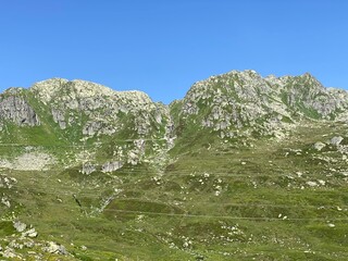 Summer atmosphere on the high alpine Swiss pastures in the mountain area of the St. Gotthard Pass (Gotthardpass), Airolo - Canton of Ticino (Tessin), Switzerland (Schweiz)