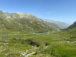 Fototapeta na wymiar Summer atmosphere on the high alpine Swiss pastures in the mountain area of the St. Gotthard Pass (Gotthardpass), Airolo - Canton of Ticino (Tessin), Switzerland (Schweiz)