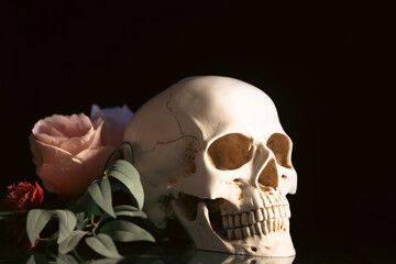 Human skull and flowers. Day of the dead, Dia de los muertos character.