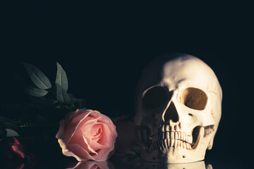 Human skull and flowers. Day of the dead, Dia de los muertos character.