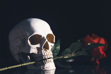Human skull and flowers. Day of the dead, Dia de los muertos character.