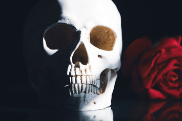 Human skull and flowers. Day of the dead, Dia de los muertos character.