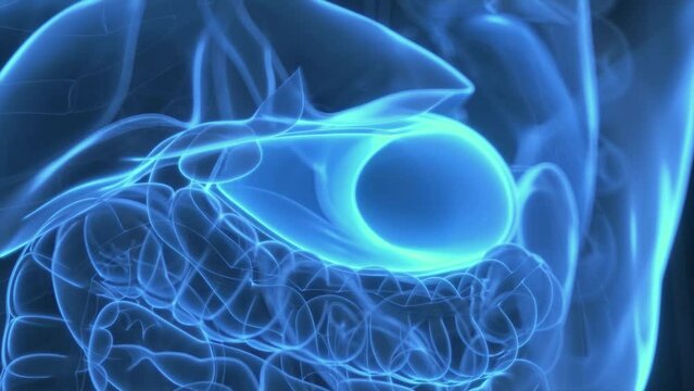 3d rendered medical animation of hormones being produce by the stomach