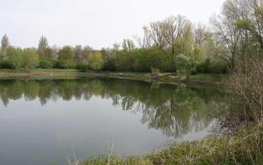 Almenteich bei Gernsheim