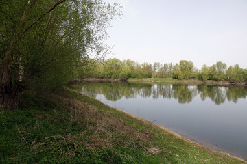 Almenteich bei Gernsheim