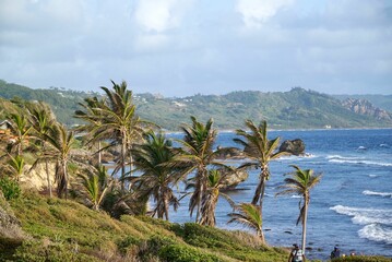Beautiful view of an island with palm trees on a sunny day