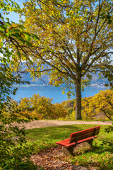 Naklejka premium Panoramablick von einer Bank auf den Bodensee im Herbst 