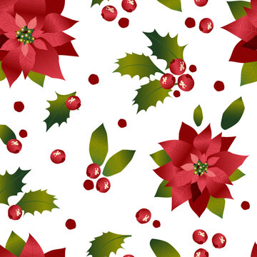 Beautiful spurge or poinsettia with holly berries on a white background form a seamless Christmas pattern. Vector.