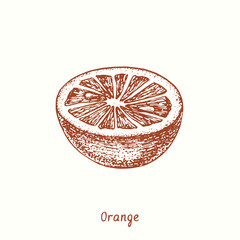 Orange fruit cut half. Ink doodle drawing in woodcut style