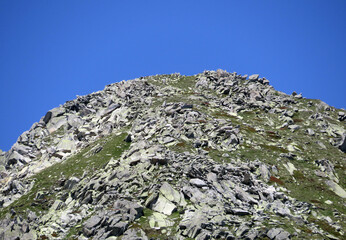 Rocks and stones in the summer Swiss Alpine environment and in the St. Gotthard pass (Gotthardpass) mountain area, Airolo - Canton of Ticino (Tessin), Switzerland (Schweiz)