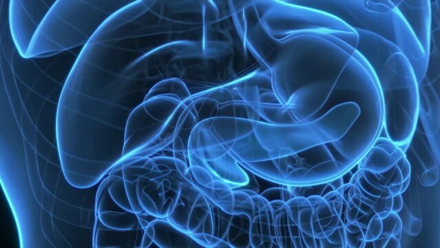 3d rendered medical animation of hormones being produce by the pancreas
