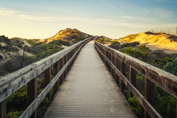 Boardwalk through sand dunes and natural habitats, beach access