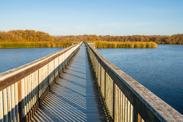 Obraz premium Wooden boardwalk through the Oso Flaco lake in Oceano Dunes, California. Oso Flaco is a freshwater lake, and it is a refuge for local and migrating birds