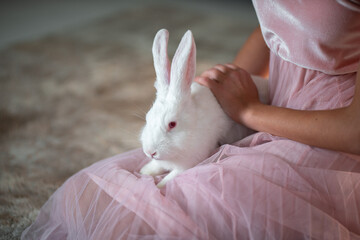 Xmas rabbit in the hands