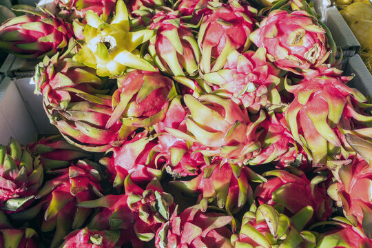 Dragon fruit, Pitaya (geow mangon). Fruits of Vietnam and Thailand