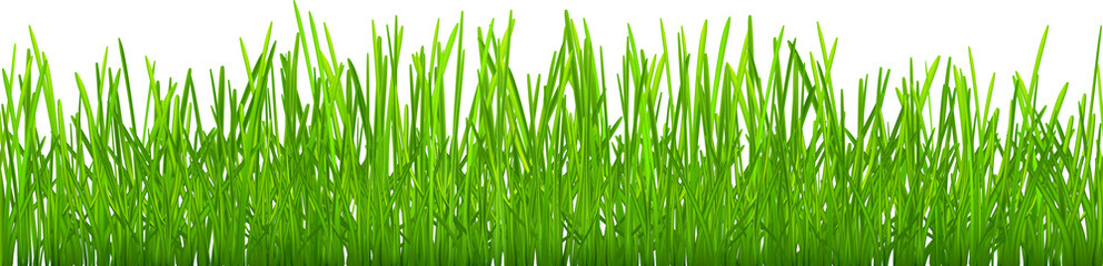 Green grass with seamless horizontal repeat