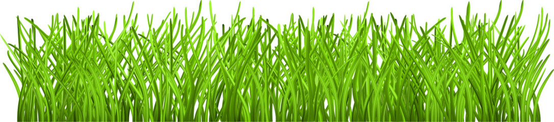 Green grass