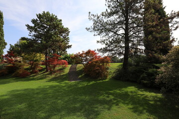 Fototapeta na wymiar Autumn landscape in a park