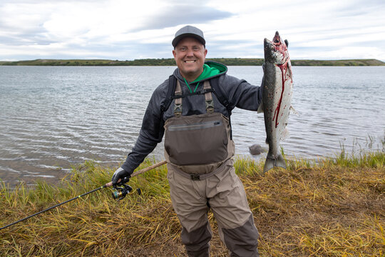 Happy and proud fisherman holding bloody Coho salmon fish on riverbank in Alaska