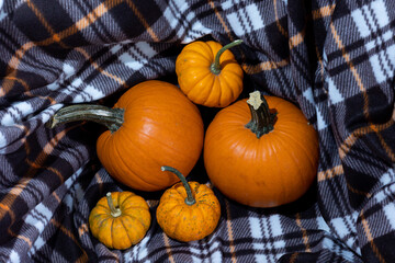 pumpkins on a table on a blanket