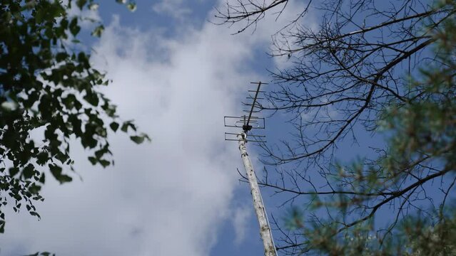Terrestrial television decimeter antenna on wooden pole among trees.