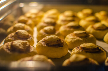 cookies with chocolate and nuts