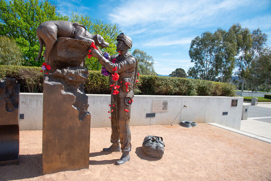 CANBERRA, AUSTRALIA. - On October 08, 2019. - Army Dog Honoured Statue,The Contributions That Dogs Made During The War In Afghanistan, The Image At At The Australian War Memorial.