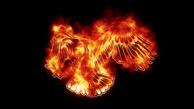 Fire Burning Eagle Logo Looping Animation Graphic Element
