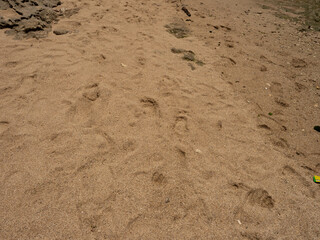 Foot print on the white sand beach