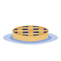 homemade blue berry  pie on a plate