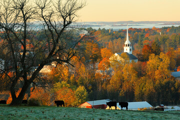 Overlooking a peaceful New England Farm in the autumn at sunrise with frost on foreground, Boston, Massachusetts, USA