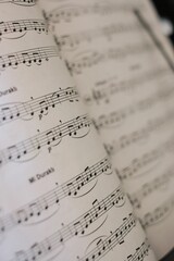 Vertical shot of music notes