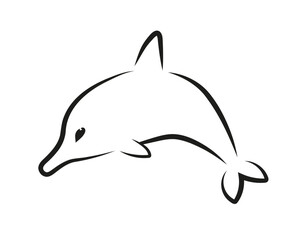 Delfin © Monika Janiak-Klicha
