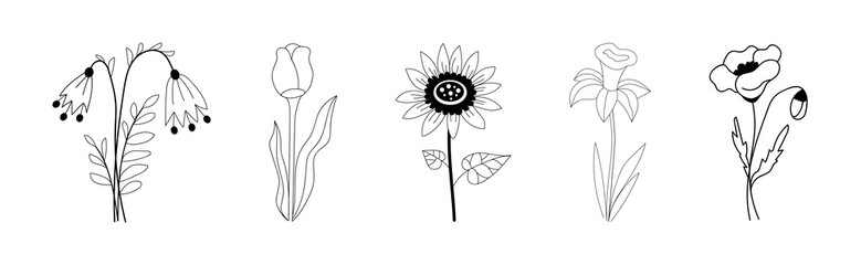 Set of drawn blooming plants on white background