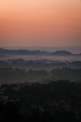 Greenery field at sunset in a mist