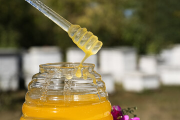 Taking delicious fresh honey with dipper from glass jar in apiary, closeup